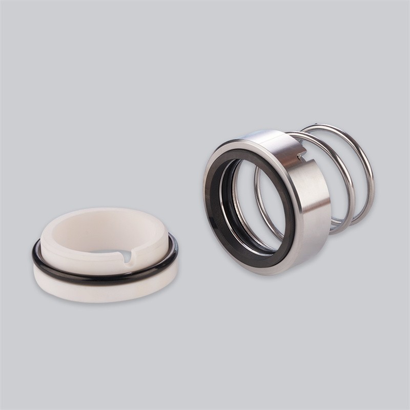 WM3N O-ring mechanical seal1