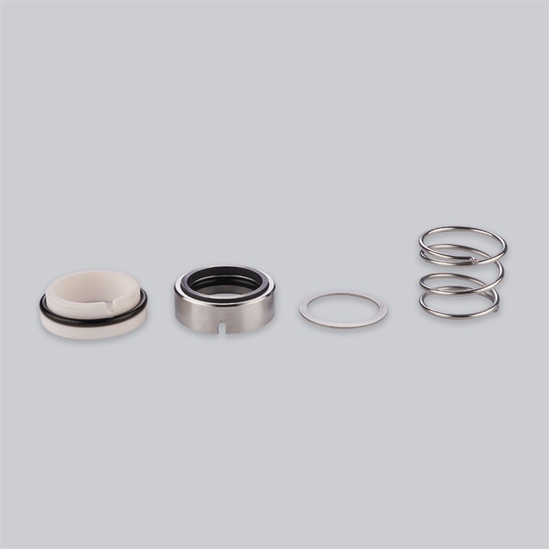 WM3N O-ring mechanical seal2
