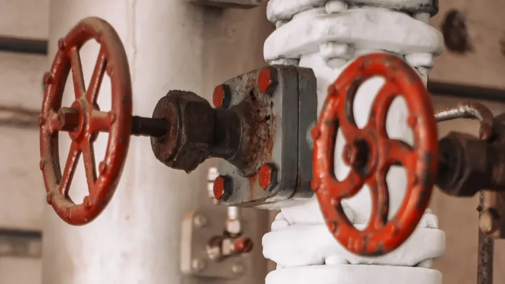 When to use a double mechanical seal?