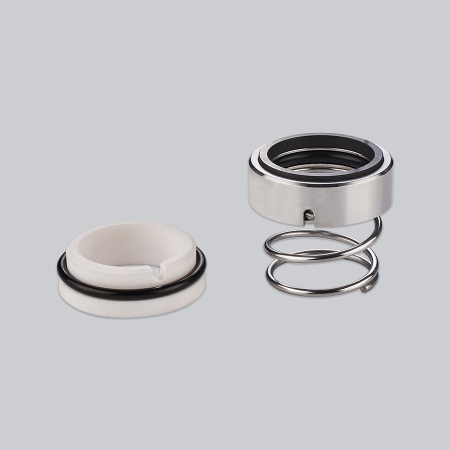 WM3N O ring mechanical seal